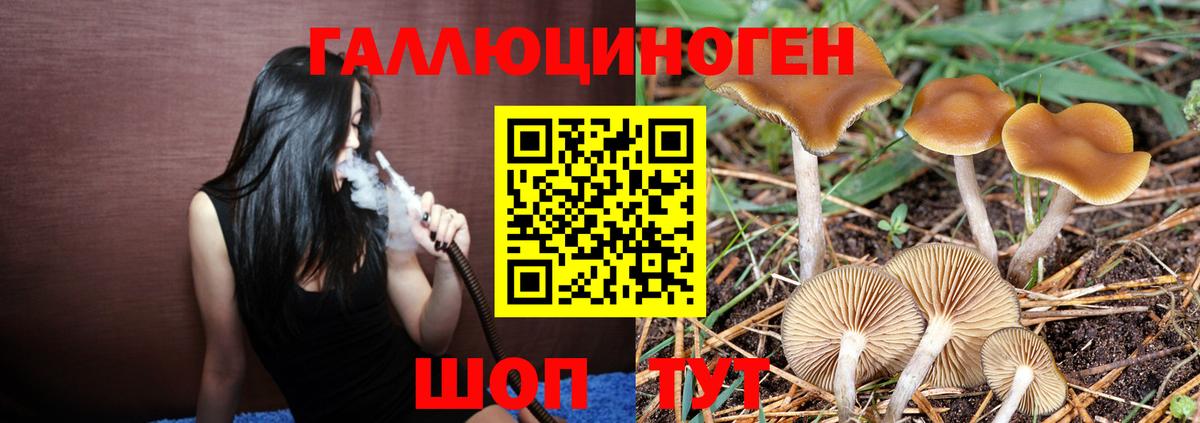 Псилоцибиновые грибы MAGIC MUSHROOMS  Вход с VPN  Псилоцибиновые грибы Psilocybe  Нарткала 
